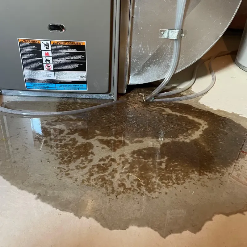 Appliance Leak Cleanup in Northfield, OH