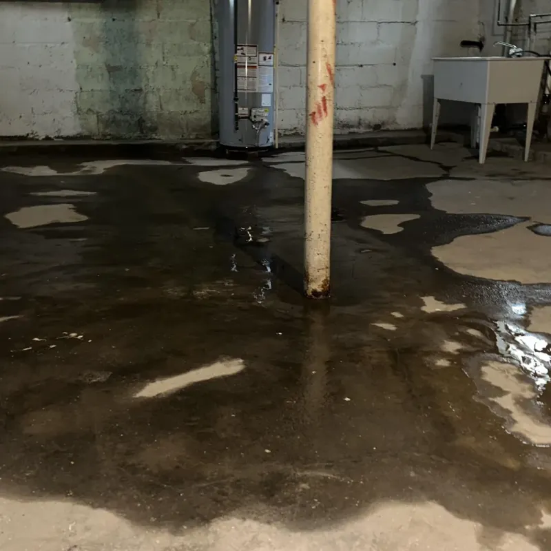 Emergency Water Extraction And Removal in Northfield, OH